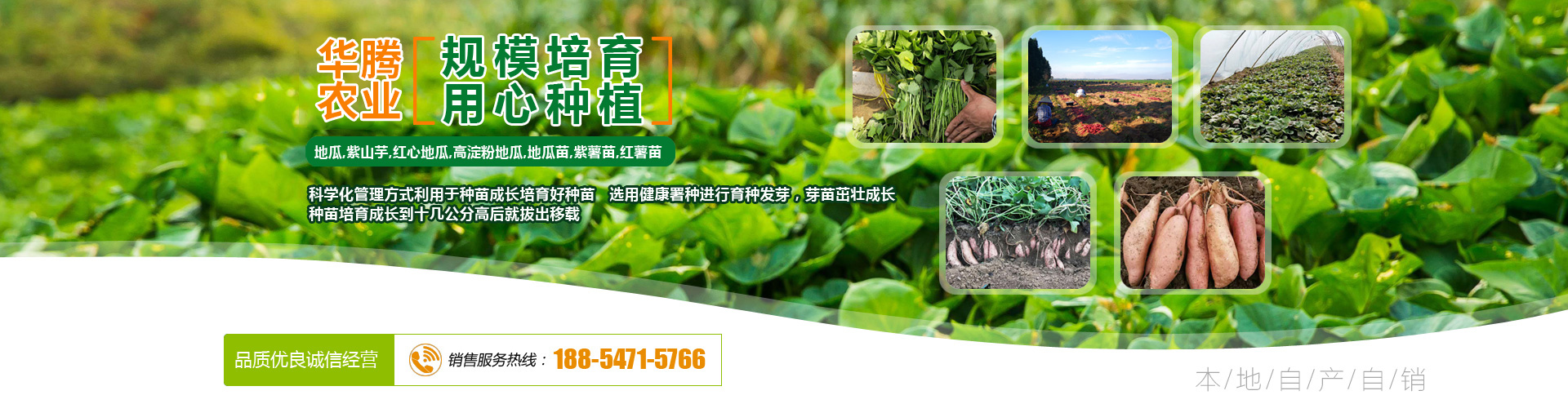山東拓達重工有限公司